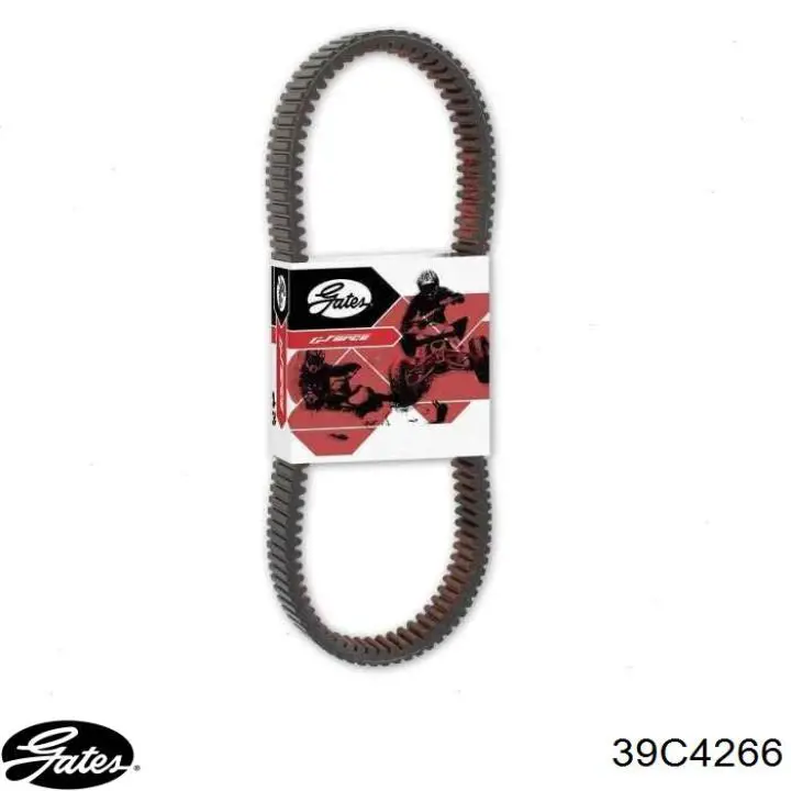 HPX5004 Dayco 