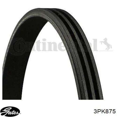 Compre 3PK875 Continental/Siemens Correia dos conjuntos de transmissão