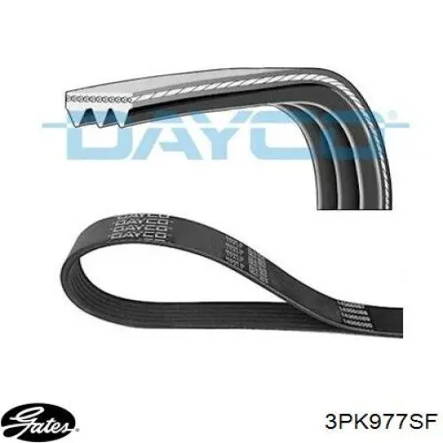 3PK977EE Dayco Correia dos conjuntos de transmissão