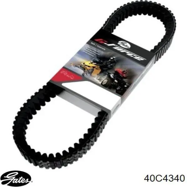 8DN176410100 Yamaha Correia de variador