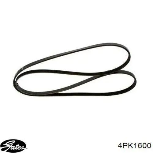 Correia dos conjuntos de transmissão SKF VKMV4PK1600 preço, a partir de 14,24 USD