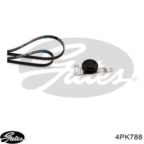 Correia dos conjuntos de transmissão Gates 4PK788 preço, a partir de 12,10 USD