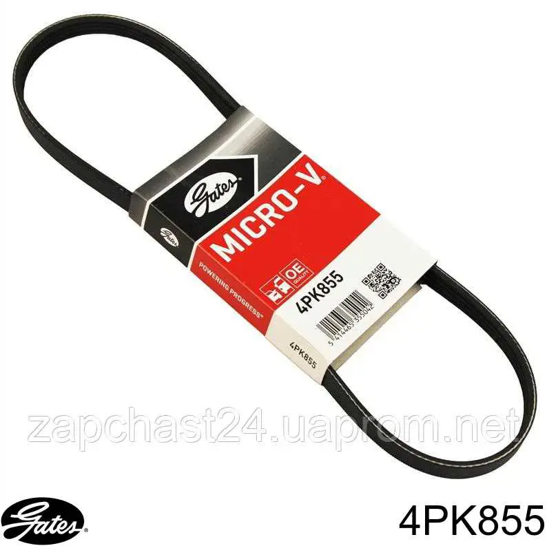 Correia dos conjuntos de transmissão Gates 4PK855 preço, a partir de 10,13 USD