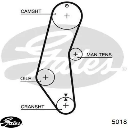 Correia do mecanismo de distribuição de gás Gates 5018 preço, a partir de 16,68 USD