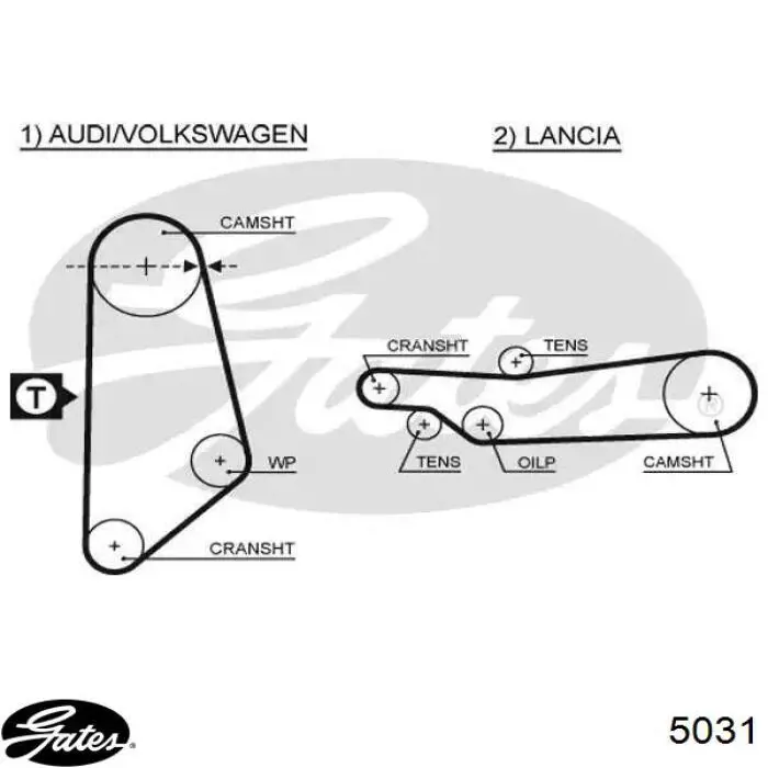 Correia do mecanismo de distribuição de gás Gates 5031 preço, a partir de 15,23 USD
