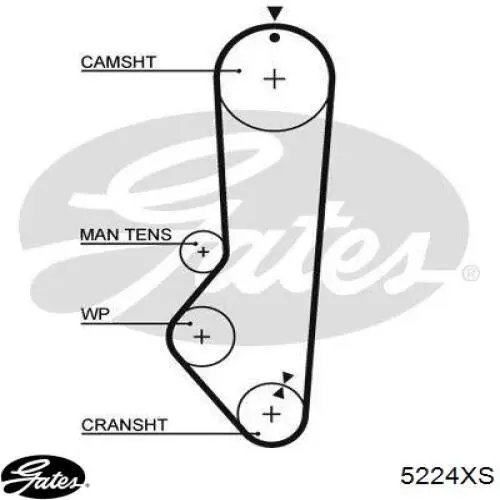 5224XS Gates Correia do mecanismo de distribuição de gás