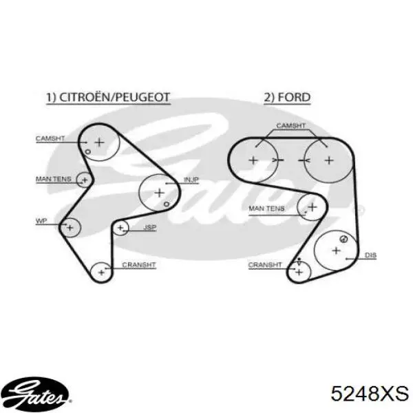 Compre CT775 Continental/Siemens Correia do mecanismo de distribuição de gás