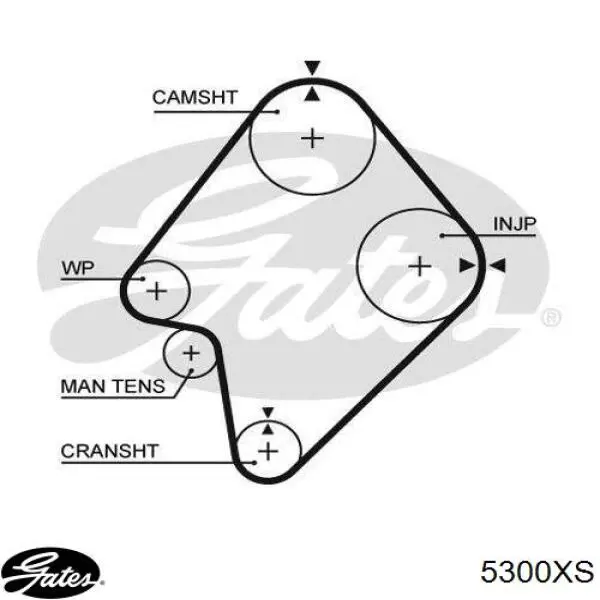 5300XS Gates Correia do mecanismo de distribuição de gás