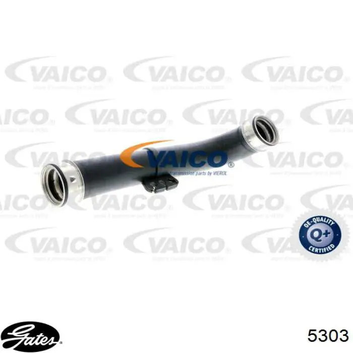 Compre 5303 Gates Correia do mecanismo de distribuição de gás