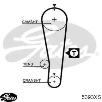 Correia do mecanismo de distribuição de gás Mitsuboshi 89XR25 preço, a partir de 19,51 USD