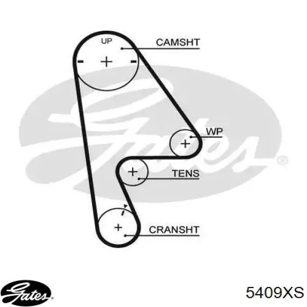 5409XS Gates Correia do mecanismo de distribuição de gás