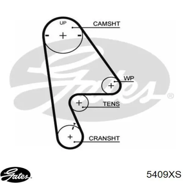 Correia do mecanismo de distribuição de gás Gates 5409XS preço, a partir de 26,93 USD