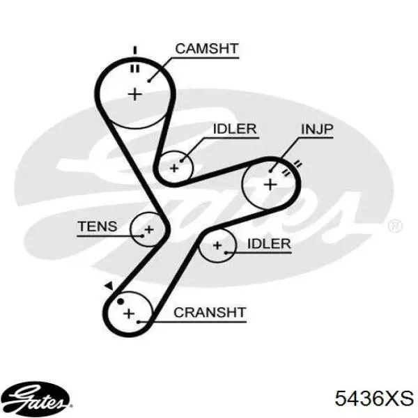Correia da árvore de equilibração Gates 5436XS preço, a partir de 24,40 USD
