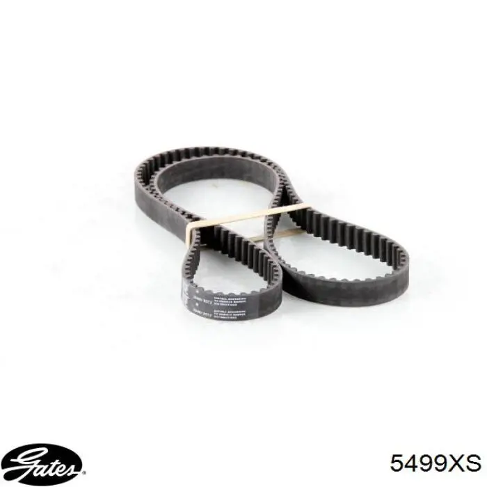 Compre 5499XS Gates Correia do mecanismo de distribuição de gás