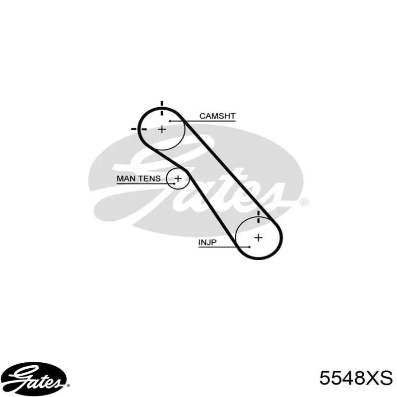 Correia do mecanismo de distribuição de gás Gates 5548XS preço, a partir de 32,96 USD