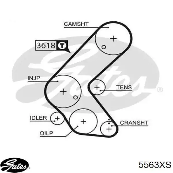Correia do mecanismo de distribuição de gás Gates 5563XS preço, a partir de 45,82 USD