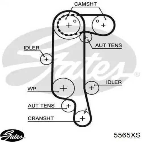 Correia do mecanismo de distribuição de gás Gates 5565XS preço, a partir de 29,83 USD