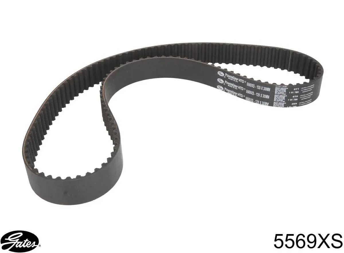 Correia do mecanismo de distribuição de gás Gates 5569XS preço, a partir de 40,58 USD