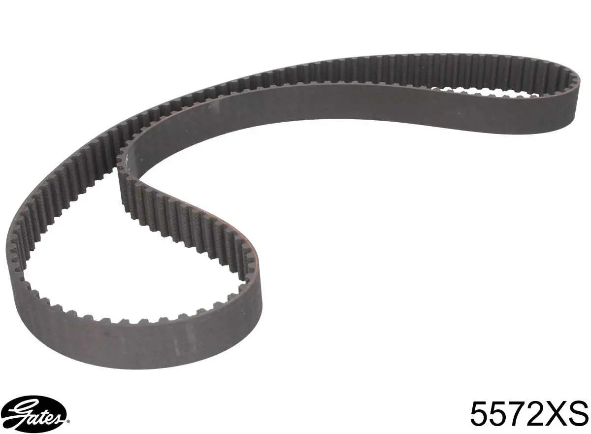 Correia do mecanismo de distribuição de gás Gates 5572XS preço, a partir de 50,26 USD