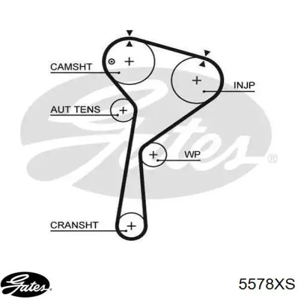 Correia do mecanismo de distribuição de gás Gates 5578XS preço, a partir de 36,17 USD
