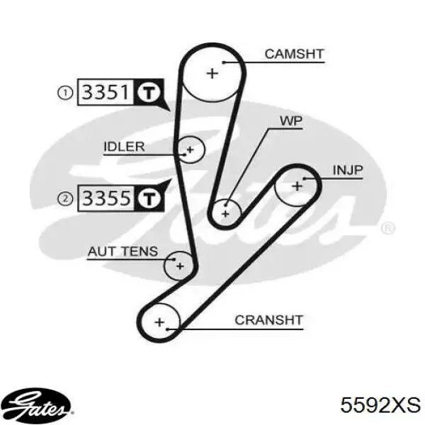 Correia do mecanismo de distribuição de gás CT1057 Continental/Siemens