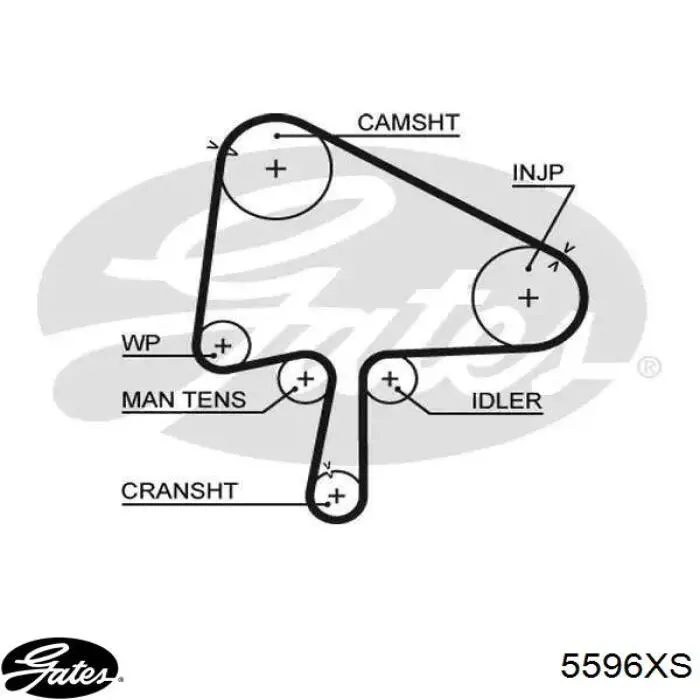 Correia do mecanismo de distribuição de gás Gates 5596XS preço, a partir de 82,02 USD