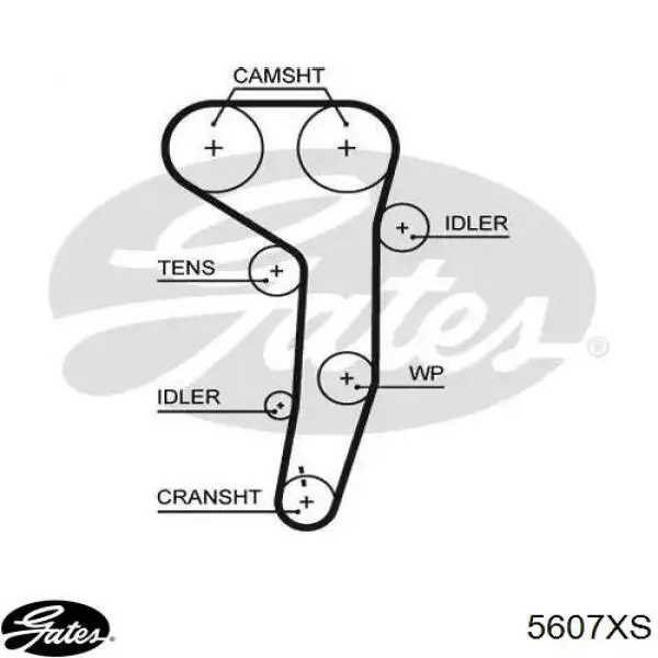 Correia do mecanismo de distribuição de gás Gates 5607XS preço, a partir de 63,60 USD