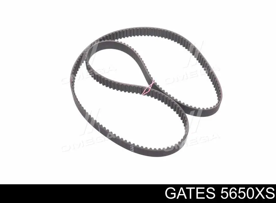 Correia do mecanismo de distribuição de gás Gates 5650XS preço, a partir de 28,86 USD