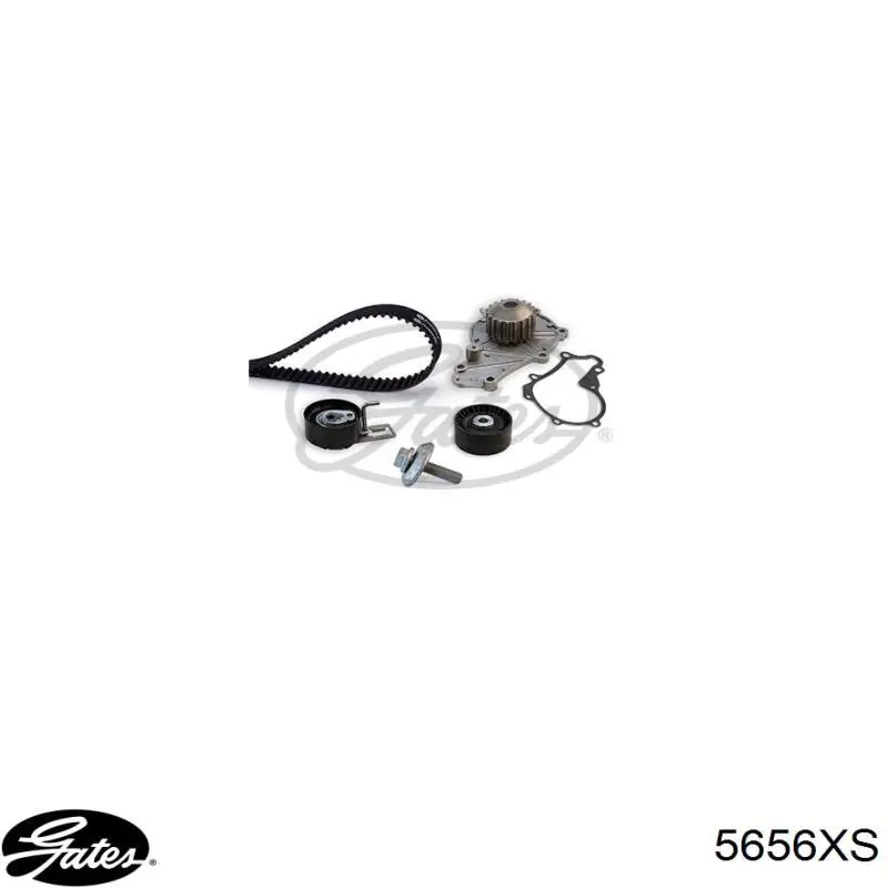Compre 5656XS Gates Correia do mecanismo de distribuição de gás