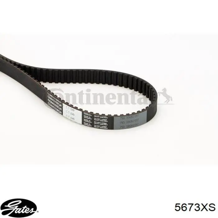 Compre 68584937AA Chrysler Correia do mecanismo de distribuição de gás