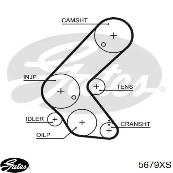 Correia do mecanismo de distribuição de gás QUINTON HAZELL QTB795 preço, a partir de 36,45 USD