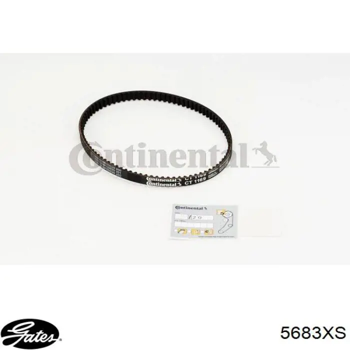 Correia do mecanismo de distribuição de gás Hutchinson 087HTDP10 preço, a partir de 12,40 USD