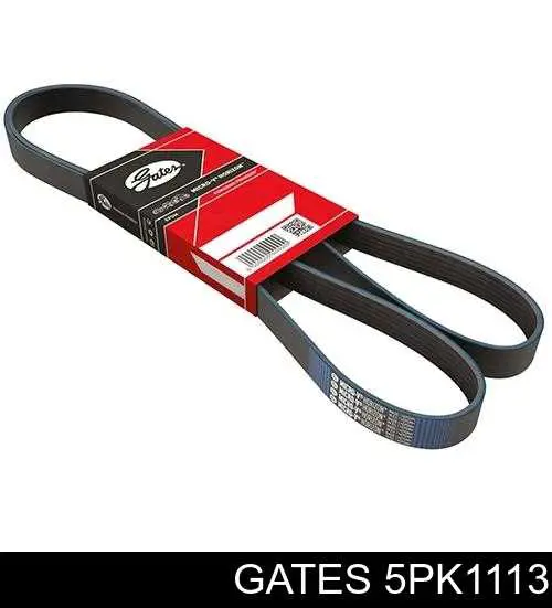 Correia dos conjuntos de transmissão Gates 5PK1113 preço, a partir de 12,35 USD