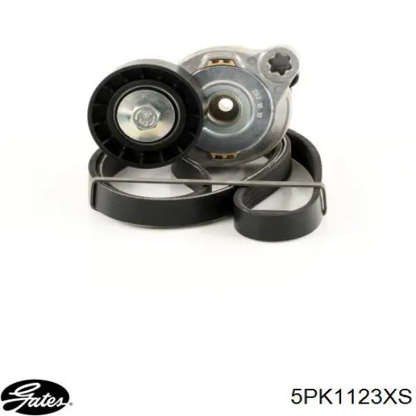 Correia dos conjuntos de transmissão Gates 5PK1123XS preço, a partir de 21,07 USD