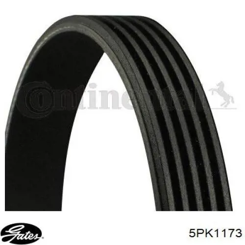 Correia dos conjuntos de transmissão 5PK1175 Optibelt