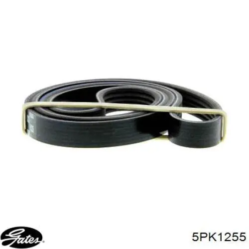 Correia dos conjuntos de transmissão Gates 5PK1255 preço, a partir de 17,93 USD