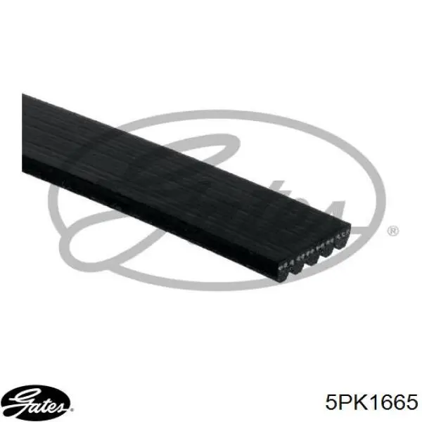 Correia dos conjuntos de transmissão Gates 5PK1665 preço, a partir de 23,50 USD