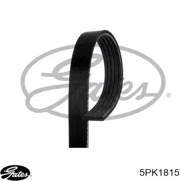 Correia dos conjuntos de transmissão Gates 5PK1815 preço, a partir de 18,02 USD