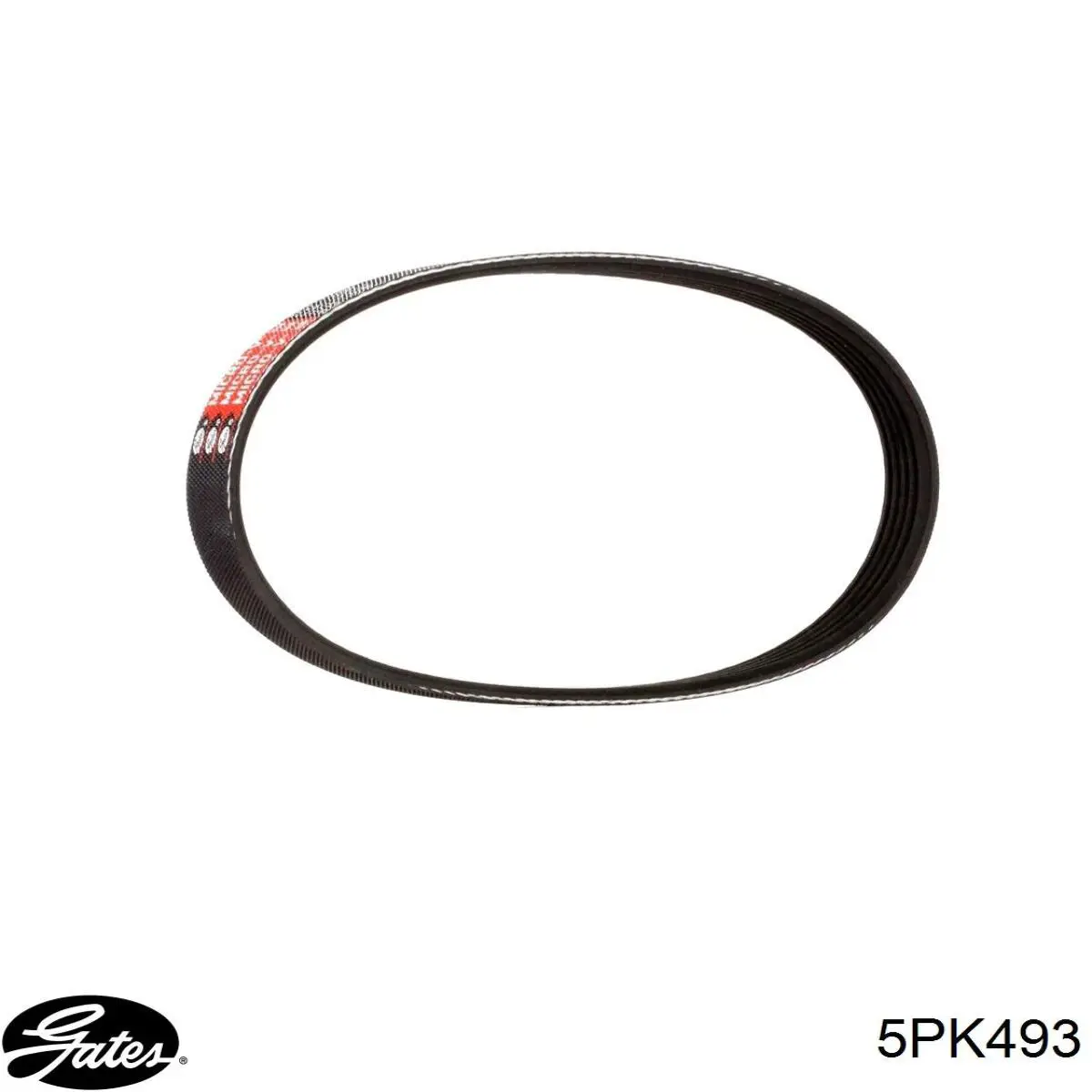 Correia dos conjuntos de transmissão Gates 5PK493 preço, a partir de 15,34 USD