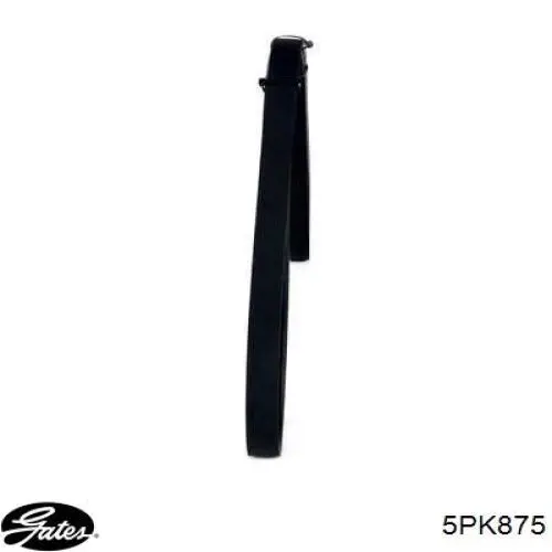 Correia dos conjuntos de transmissão Gates 5PK875 preço, a partir de 10,02 USD