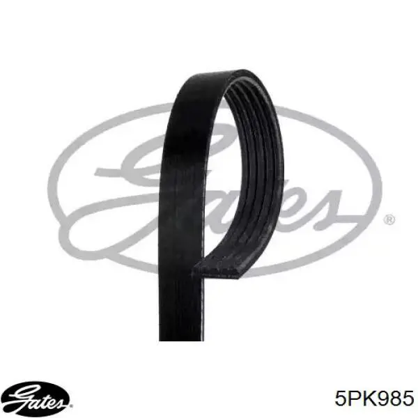 Correia dos conjuntos de transmissão Gates 5PK985 preço, a partir de 21,67 USD