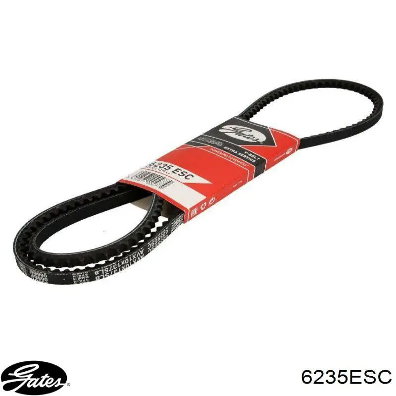Compre 10A1375C Dayco Correia dos conjuntos de transmissão