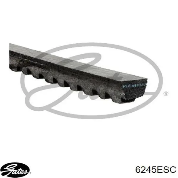 Correia dos conjuntos de transmissão Continental/Siemens 10X1625 preço, a partir de 16,72 USD