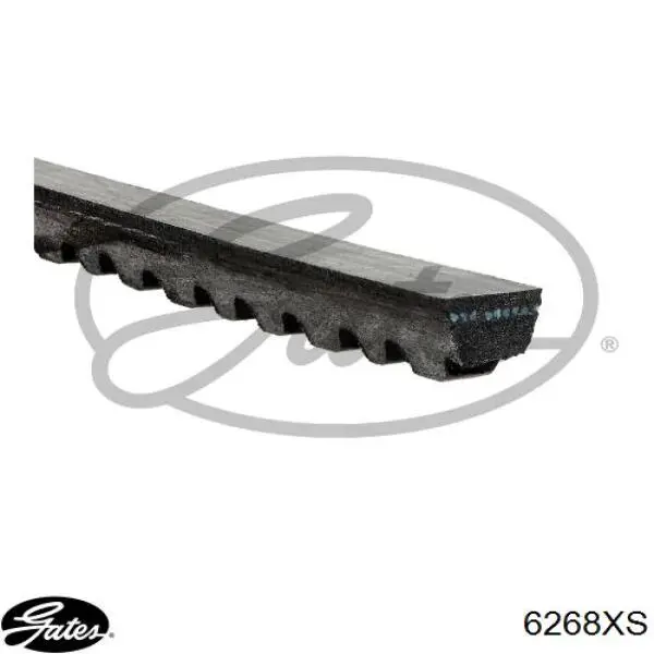 Compre AVX10X1113 Continental/Siemens Correia dos conjuntos de transmissão