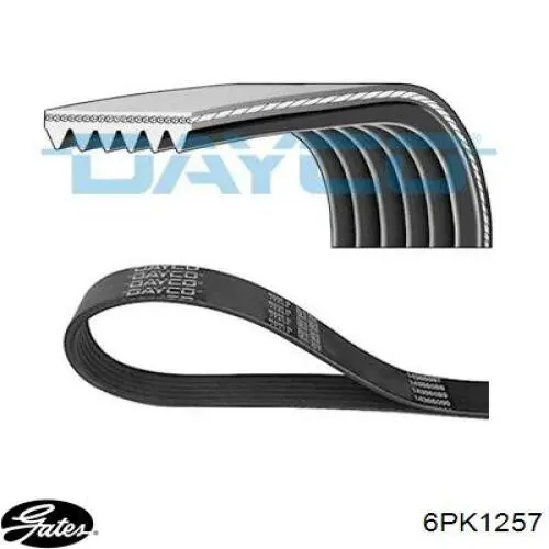 Compre 6PK1257 Gates Correia dos conjuntos de transmissão