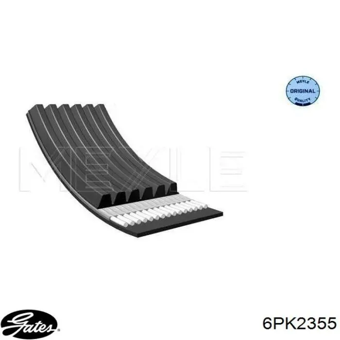 Compre 252122C001 Hyundai/Kia Correia dos conjuntos de transmissão