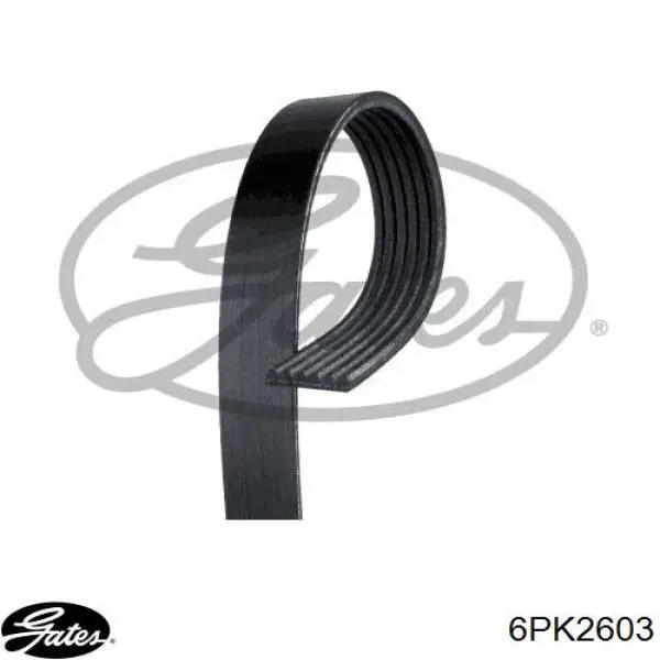 Compre DV6PK2605 Japan Parts Correia dos conjuntos de transmissão