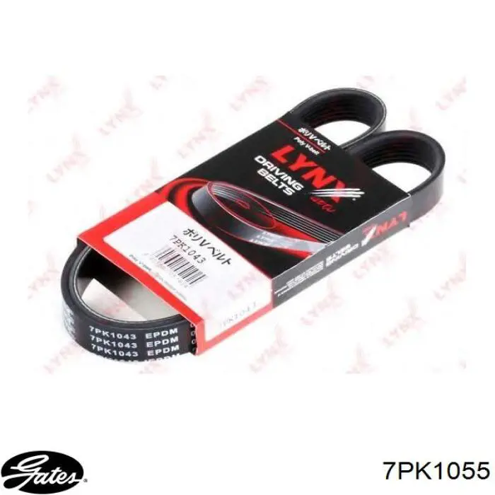 Correia dos conjuntos de transmissão Gates 7PK1057EST preço, a partir de 28,55 USD