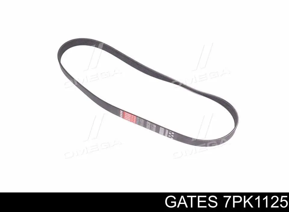 Correia dos conjuntos de transmissão Gates 7PK1125 preço, a partir de 16,19 USD
