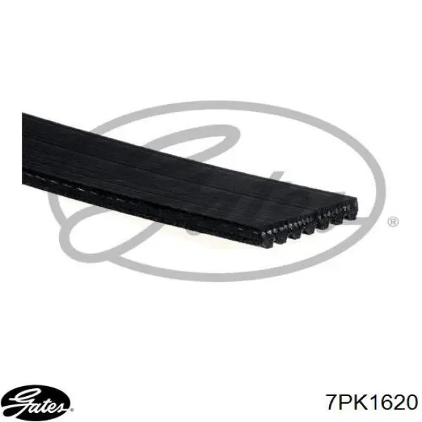 Correia dos conjuntos de transmissão Gates 7PK1620 preço, a partir de 32,33 USD